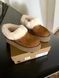 Угги на платформі UGG Platinum Platform Slippers Chestnut 18790-Каштановий-38 фото 9