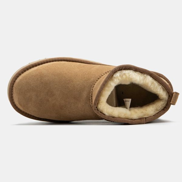 Угги на платформі UGG Ultra Mini Platform Chestnut 13518-Каштановий-36 фото