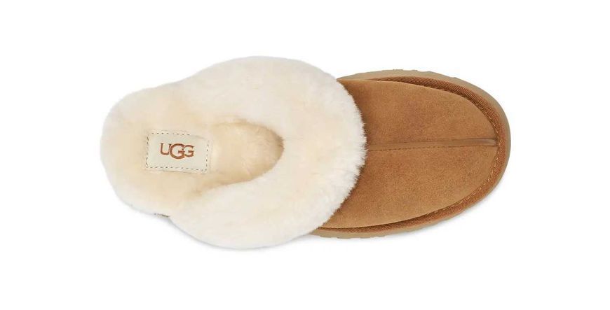 Угги на платформі UGG Disquette Platform Slippers Chestnut 18185-Каштановий-36 фото