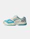Кросівки Nike Air Pegasus 2K5 Coconut Milk Bicoastal 17490-Синій-36 фото 1