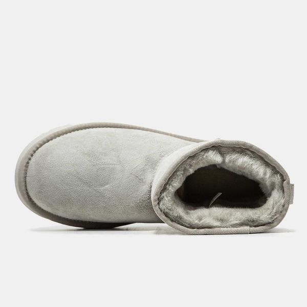 Угги UGG Classic Mini Light Grey 07557-Сірий-37 фото