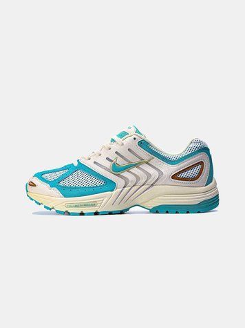 Кросівки Nike Air Pegasus 2K5 Coconut Milk Bicoastal 17490-Синій-45 фото