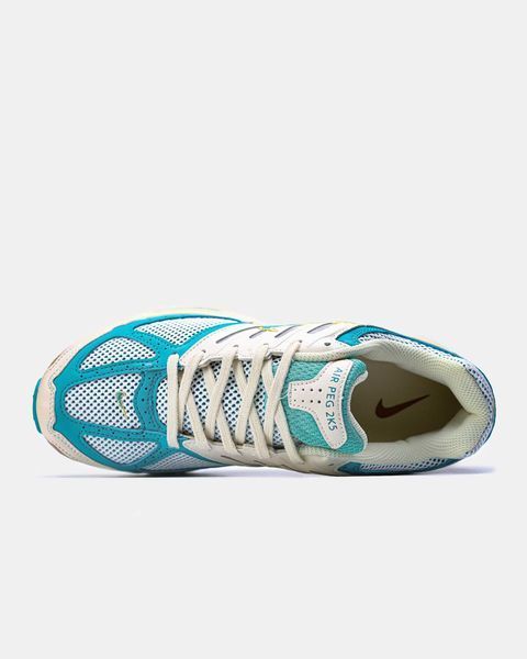 Кросівки Nike Air Pegasus 2K5 Coconut Milk Bicoastal 17490-Синій-45 фото