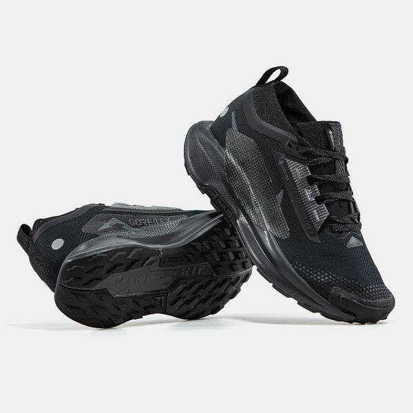 Кросівки Nike Pegasus Trail 5 GTX Gore-Tex Black 22267-Чорний-41 фото