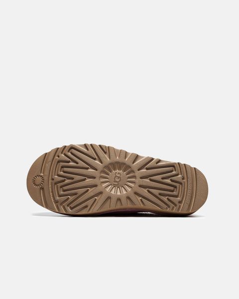 UGG Tasman II Pink Dawn 22914-Рожевий-36 фото