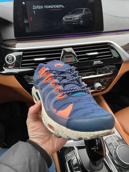Кросівки Nike Air Max TN Terrascape Plus Blue Beige 09430-Синій-37 фото