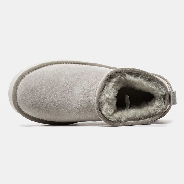 Угги на платформі UGG Ultra Mini Platform Light Grey 13616-Сірий-36 фото