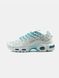 Кросівки Nike Air Max TN Plus White Blue 14081-Білий-43 фото 1