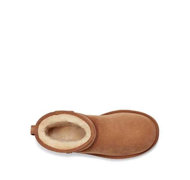 Угги UGG Classic Mini Chestnut 04109-Каштановий-37 фото