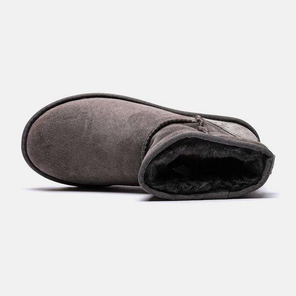 Угги UGG Classic Mini Grey Suede 05005-Темно-сірий-36 фото