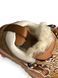 UGG Astromel Chestnut FUR 22629-Коричневий-36 фото 3