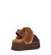 Угги на платформі UGG Funkette Platform Brown 18675-Коричневий-38 фото 3