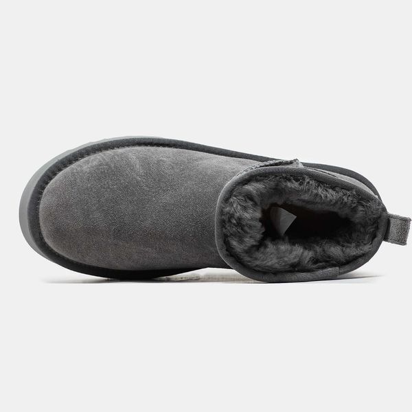 Угги на платформі UGG Ultra Mini Platform Grey 10551-Темно-сірий-38 фото